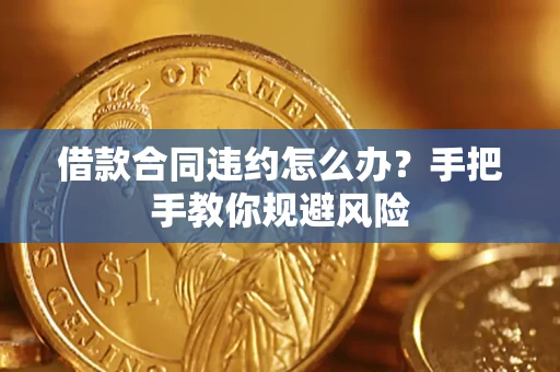 武汉借款合同违约怎么办？手把手教你规避风险