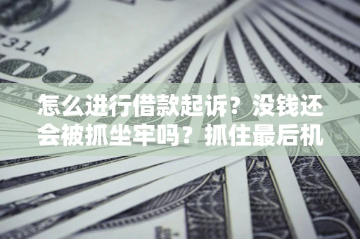 武汉怎么进行借款起诉？没钱还会被抓坐牢吗？抓住最后机会！