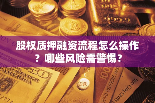 武汉股权质押融资流程怎么操作？哪些风险需警惕？