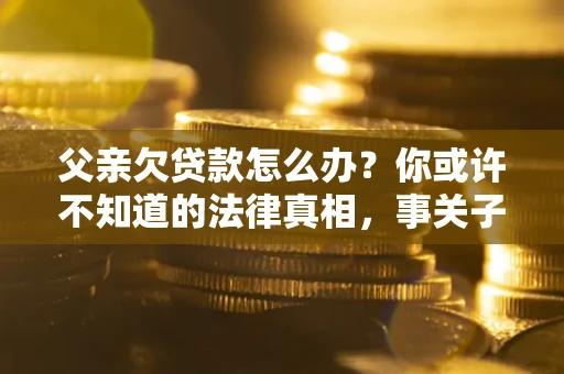 武汉父亲欠贷款怎么办？你或许不知道的法律真相，事关子女未来