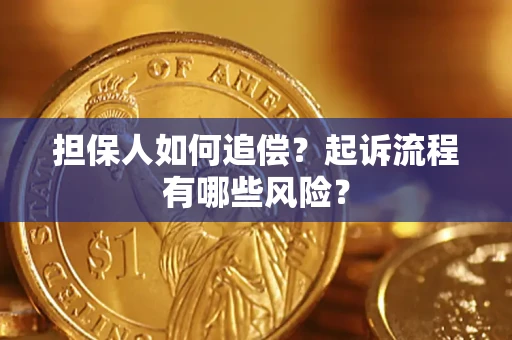 武汉担保人如何追偿？起诉流程有哪些风险？