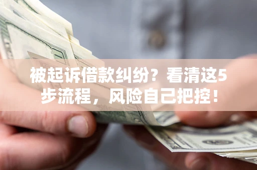 武汉被起诉借款纠纷？看清这5步流程，风险自己把控！