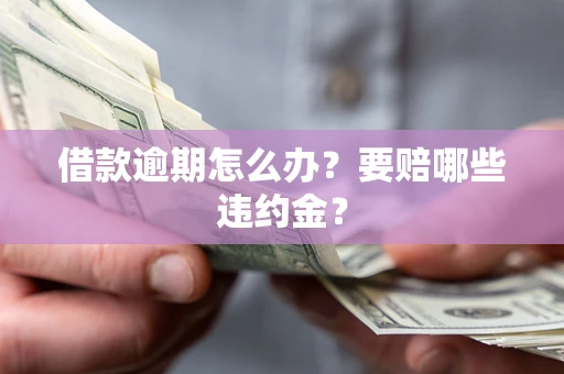 武汉借款逾期怎么办？要赔哪些违约金？