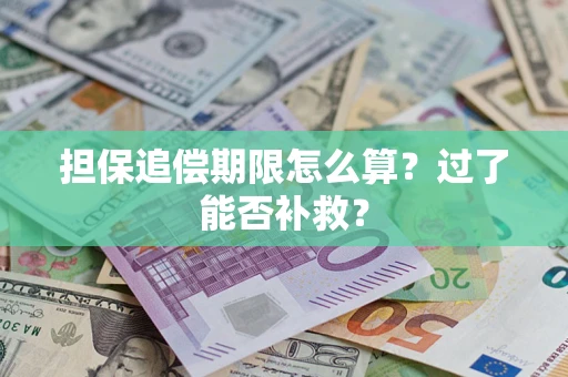 武汉担保追偿期限怎么算？过了能否补救？